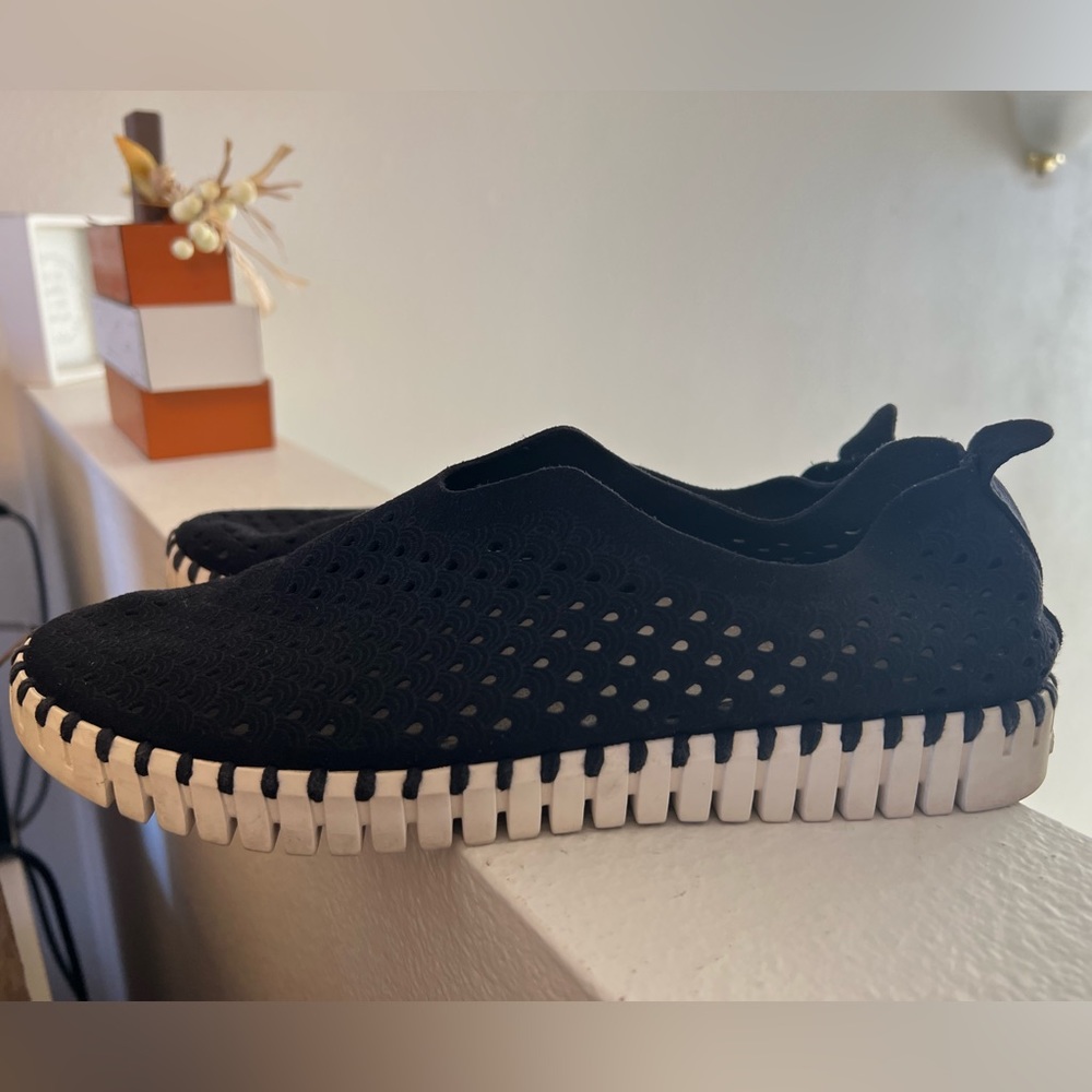 Isle Jacobsen the most comfortable sneakers/flat slip ons.
